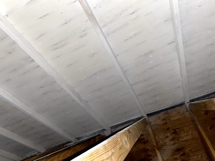 Mold Abatement Contractors Picture 3