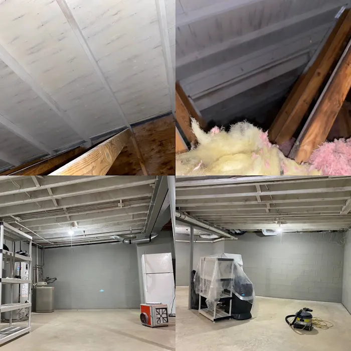 Mold Abatement Contractors Picture 5