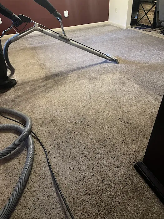 Stanley Steemer Picture 7