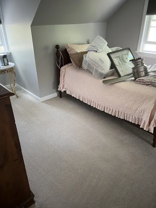 Stanley Steemer Picture 6