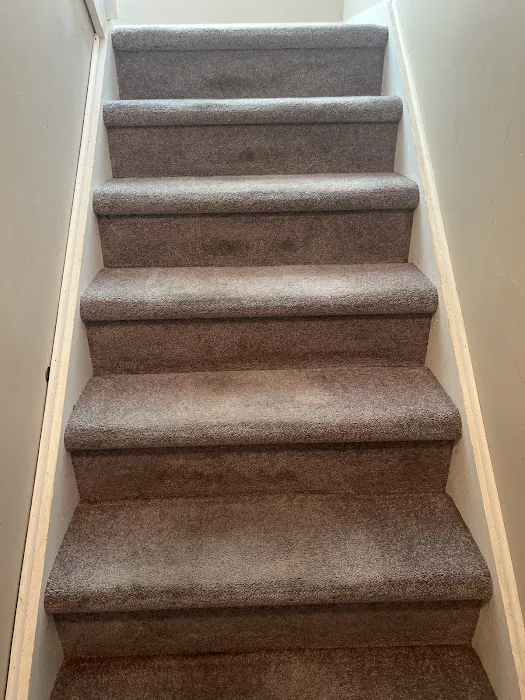 Stanley Steemer Picture 8