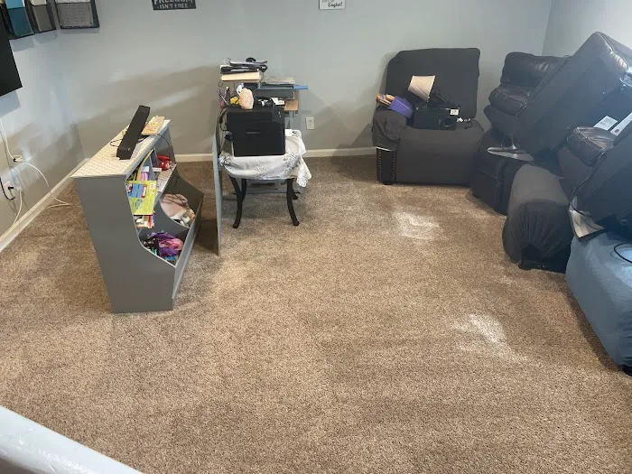 Stanley Steemer Picture 4