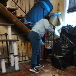 Doyle Adjustment Group