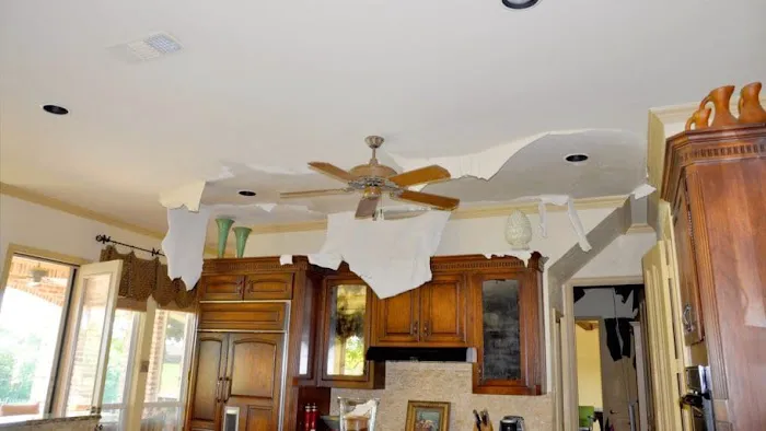 Doyle Adjustment Group Picture 8