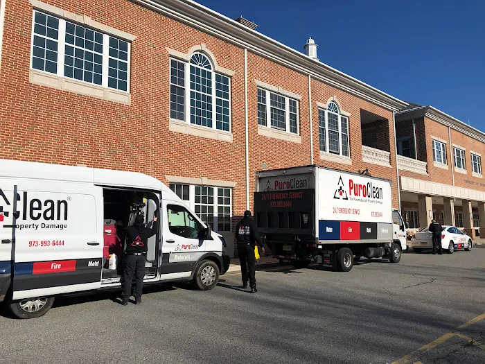 PuroClean of Morristown Picture 5