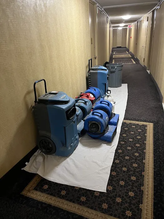 LA Restore 360 Picture 9