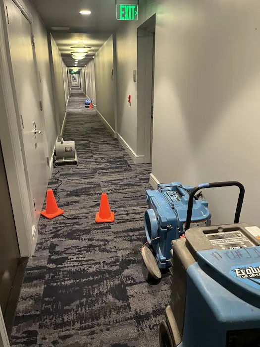 LA Restore 360 Picture 5