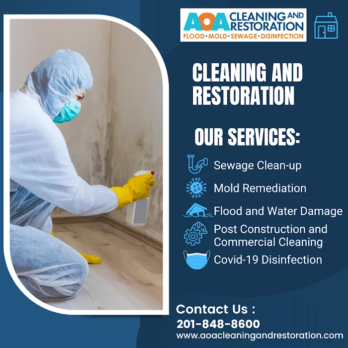 AOA Cleaning Picture 10