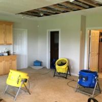 Fast Fire Water Mold Damage ico