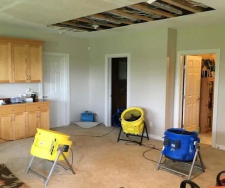 Fast Fire Water Mold Damage
