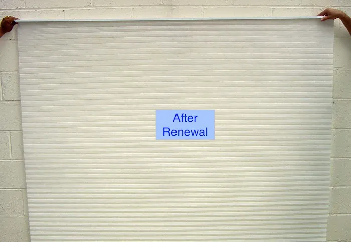 Renewal of Greater NYC Picture 7