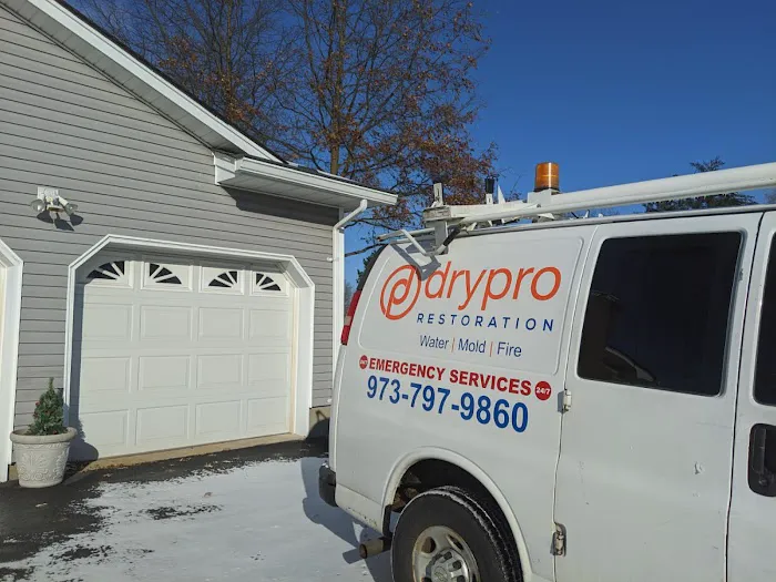 DryPro Picture 9