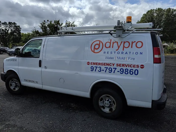 DryPro Picture 4