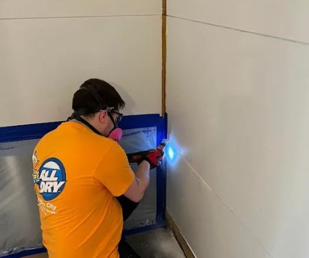 All Dry Services of North Jersey