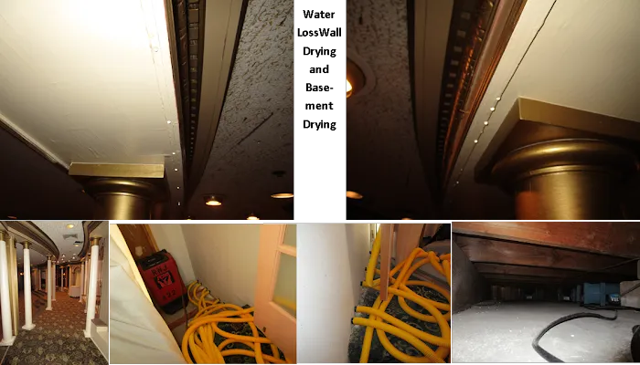 Rainbow International of Fairfield Picture 10