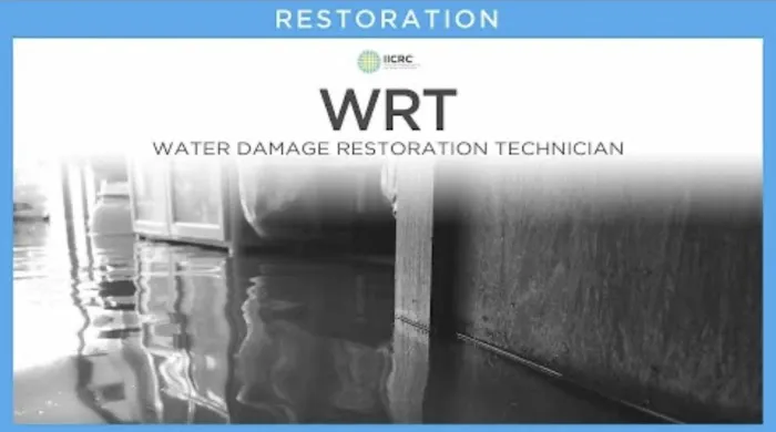 Phoenix Llc Picture 2