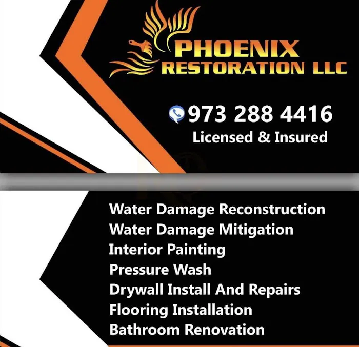 Phoenix Llc Picture 9