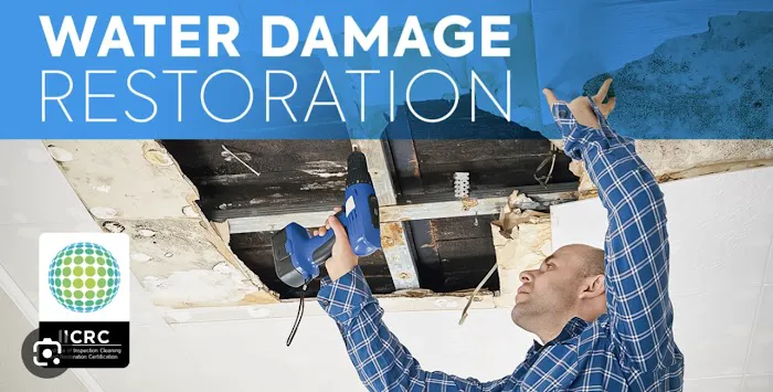 Phoenix Llc Picture 5