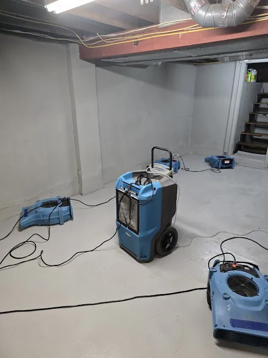 Kraus Restoration Picture 1