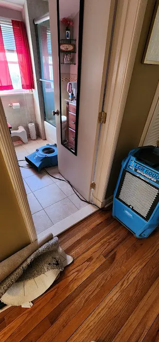 Kraus Restoration Picture 4