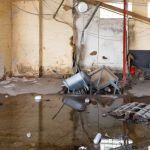Berman Water Damage Experts