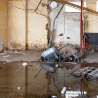 Berman Water Damage Experts ico