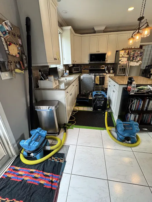 DryTech Restoration LLC Picture 2