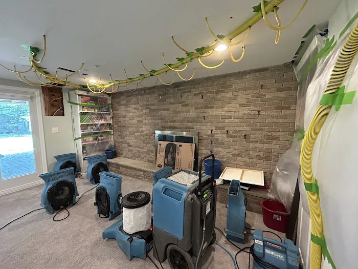 Northeast Power Dry Picture 5