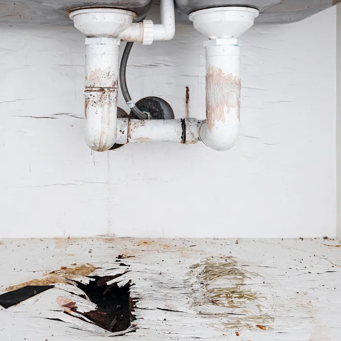 Best Option Restoration of Montgomery County Picture 6