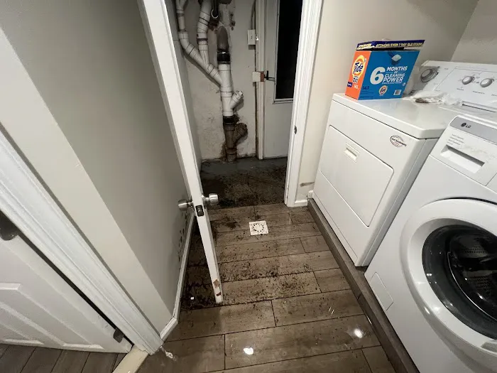 Velocity Water Restoration Picture 6