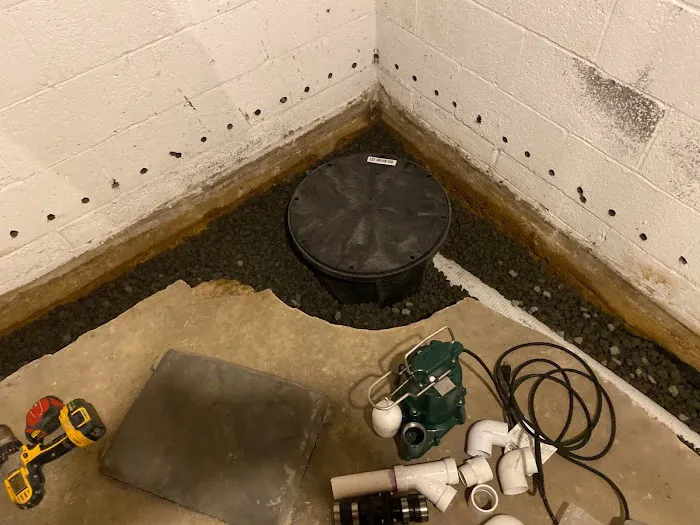 Basement Lifeguard Picture 7