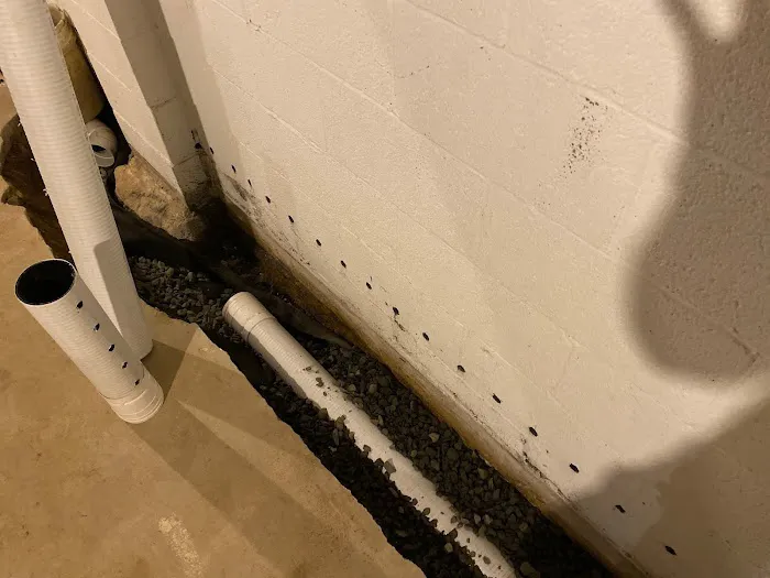 Basement Lifeguard Picture 9