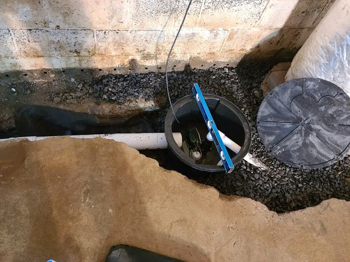 Basement Lifeguard Picture 10