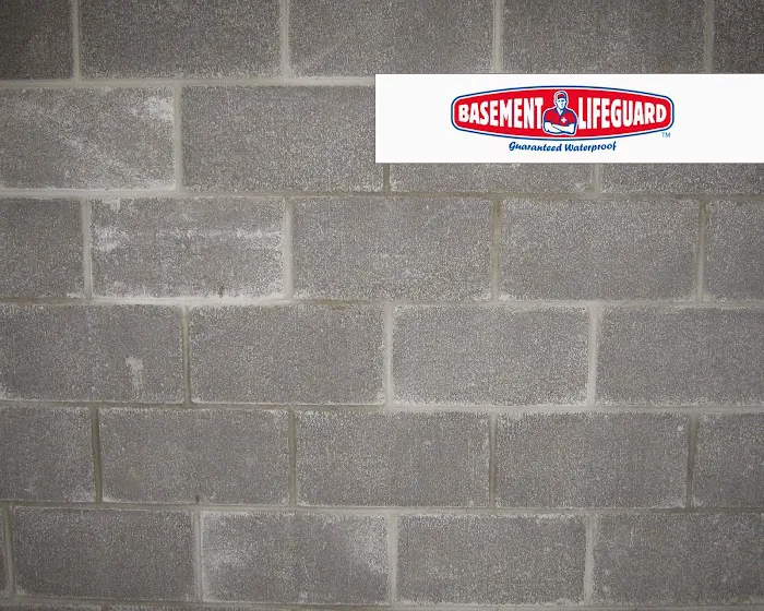 Basement Lifeguard Picture 8