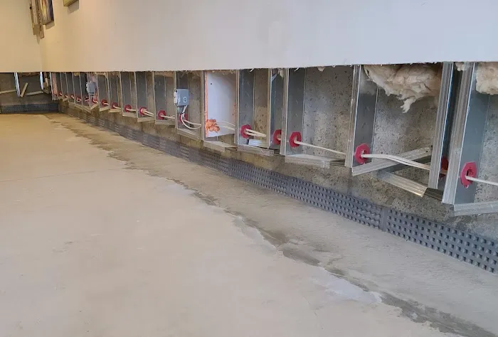 Basement Lifeguard Picture 4