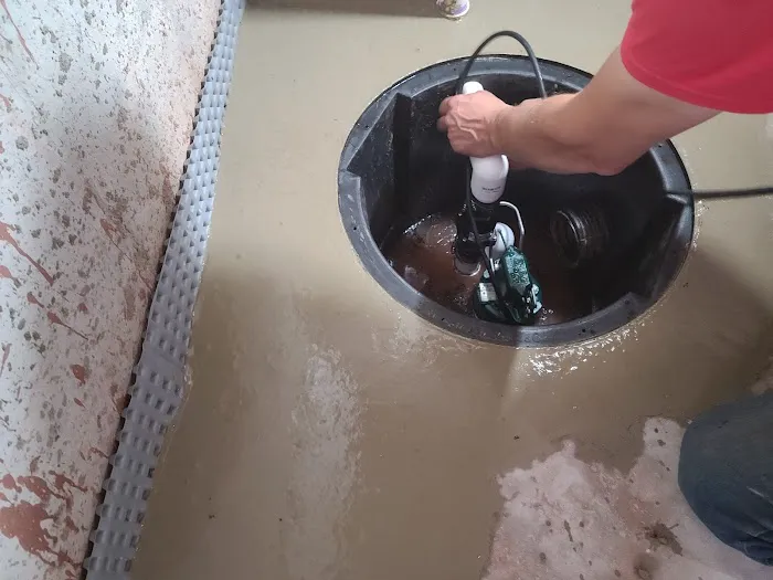 Basement Lifeguard Picture 6