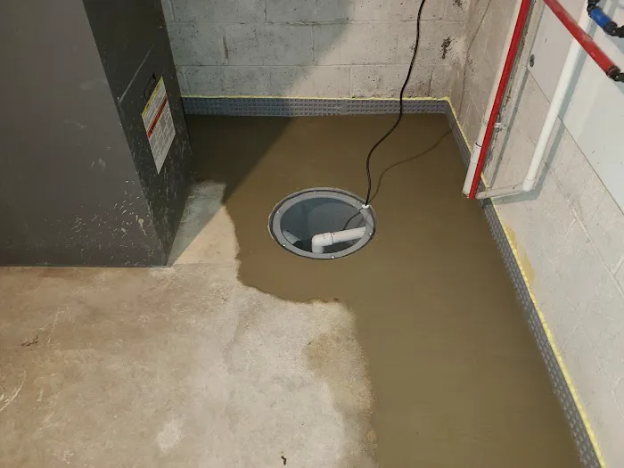 Basement Lifeguard Picture 3