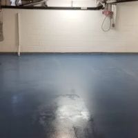 Basement Lifeguard ico