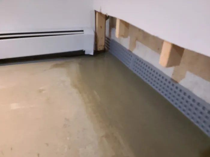 Basement Lifeguard Picture 2