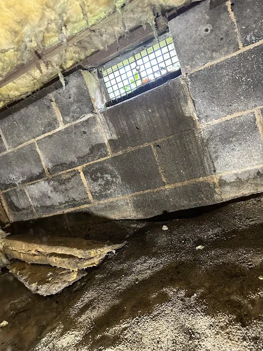 Dry Tech Waterproofing Solutions Picture 8