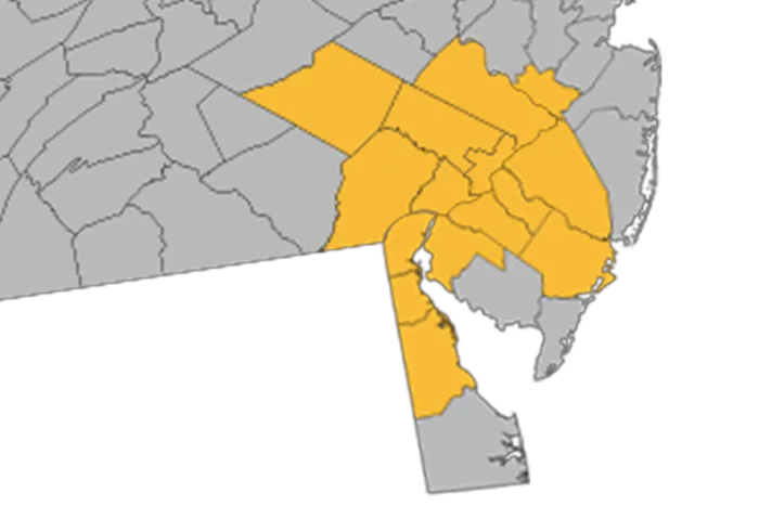 Quantum Restoration Services Picture 9