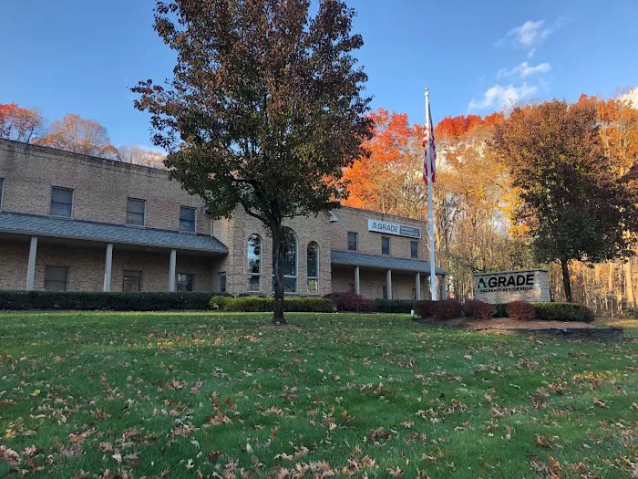 A GRADE Property Picture 4