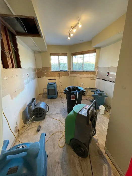 Ukrainian Restoration Picture 4