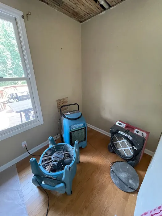 Ukrainian Restoration Picture 2