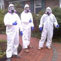 Above & Beyond Mold Inspection & Removal - Madison ico