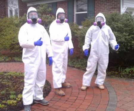 Above & Beyond Mold Inspection & Removal - Madison