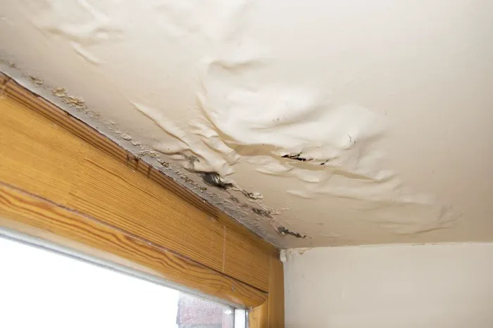 Carey Water Damage Restoration & Cleanup Picture 5
