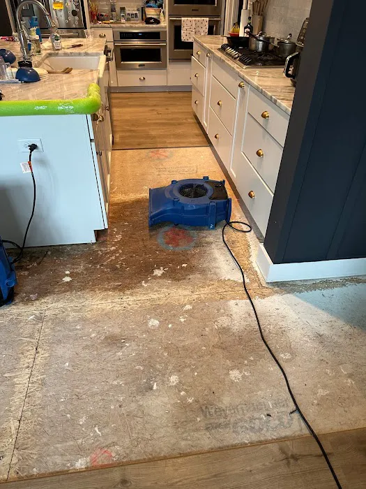 Five Stars Restoration Picture 8