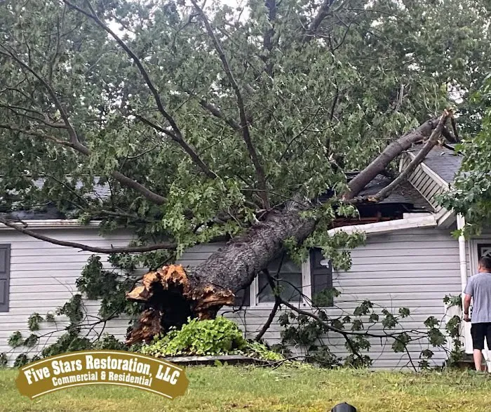 Five Stars Restoration Picture 7