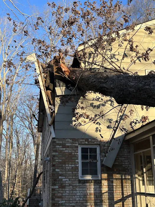 Capital Construction Services Picture 6